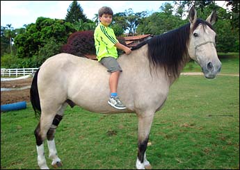 SAFADÃO