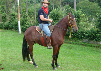 Sem nome Informado - 6455