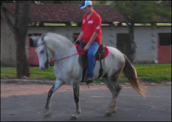 VENDAVAL DO MONTE SANTO