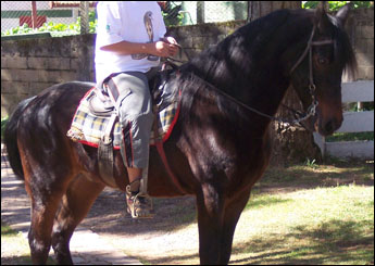 Sem nome Informado - 6433