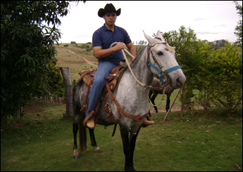 CRAVINA FLECHA