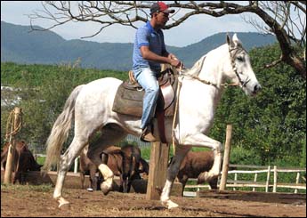 CALÍGULA