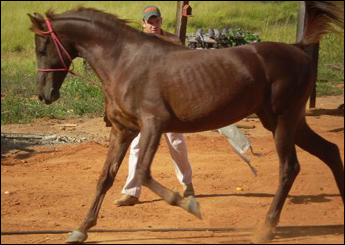 Sem nome Informado - 6373
