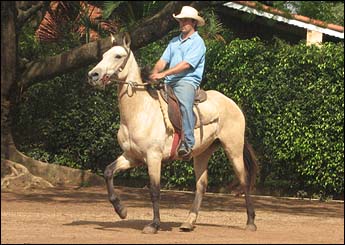 CANÁRIO RA