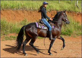 DANÚBIO ITAOCA