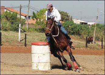 SOLANO'S BOY HDN