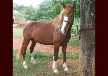 DATENA