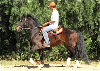 BALSEIRO DO JUNDIÁ