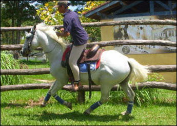NOBRE ITAPUÃ