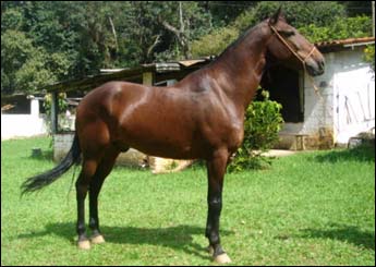 ARITANA DO RASF