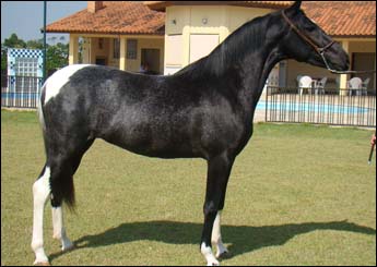 BABILÔNIA RJR