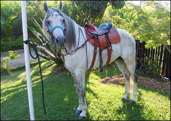 IXO DE MARACAR