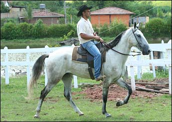 AMULETO DO BOM PENSAMENTO