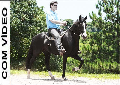 GAROTO