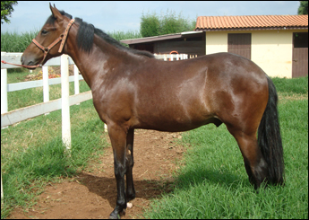 ASTRO DO CCR