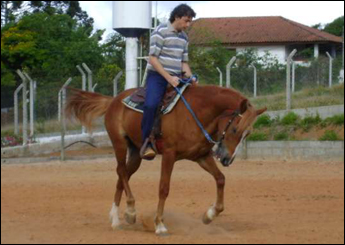 Sem nome Informado - 5823