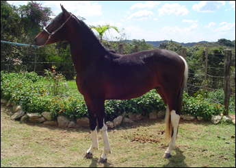 QUILATE DA NORMA