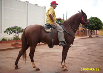 SADAN