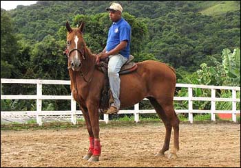 RUIVA DA CONQUISTA