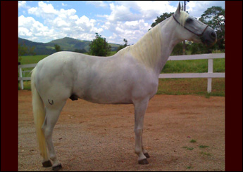 HERDADE REALITO