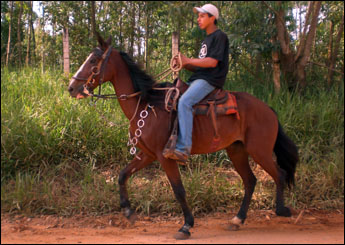 CHAPARRAL DA JM