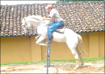 GRAMPOLA