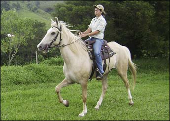 XUXA