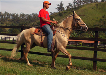 BRONZE DA JM