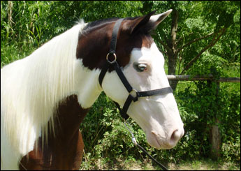 DIAMANTE