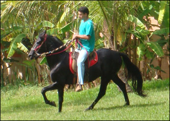 HEBREU DO MINATTO