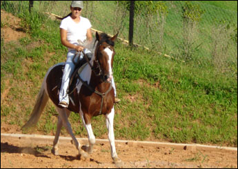 FEITICEIRA