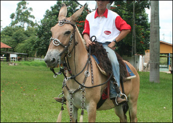 Sem nome Informado - 5284