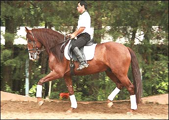 ZODÍACO DE QUINTANA
