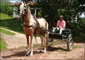 BOMBRIL