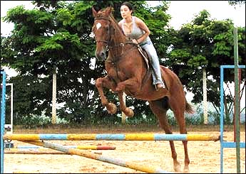 LUXO VHC