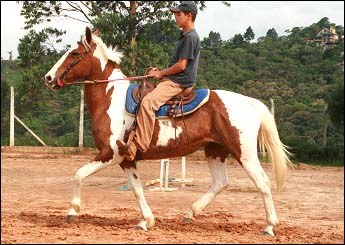 TATY VHC