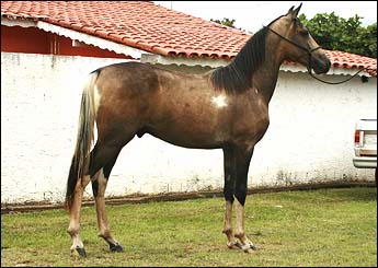 Sem nome Informado - 5146
