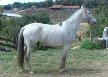 BATUCADA DO AVENTUREIRO