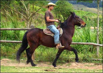 CIGANO