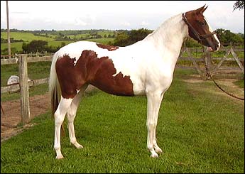 DANUBIA DO K EDSON