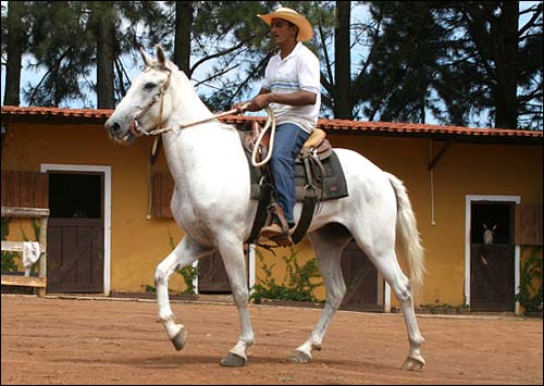 RAIO RA