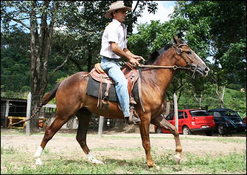 RAMBO DO LM