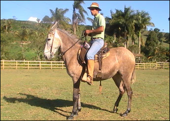 ALTEZA