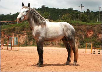 CICLONE