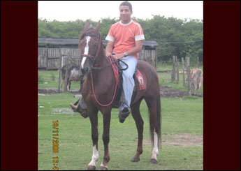 DOURADO