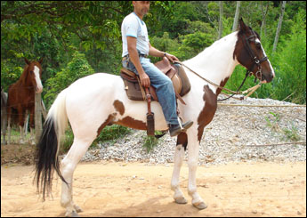 CACIQUE