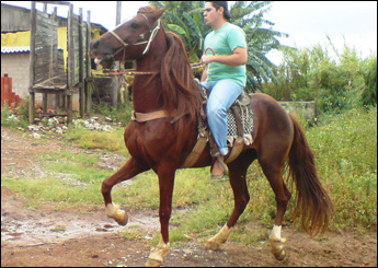 RINGO DO SÃO PEDRO