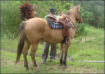 ALTESA DE TIBAGI
