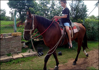 PINGO DA JOMAR