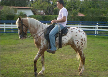 PINTADO